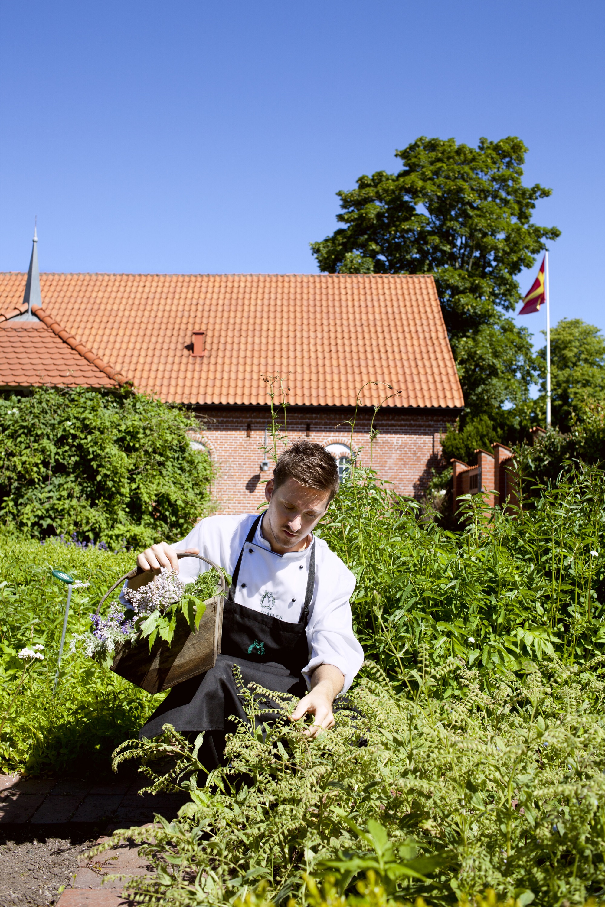 Picking in Angavallen in Skane in southern Sweden