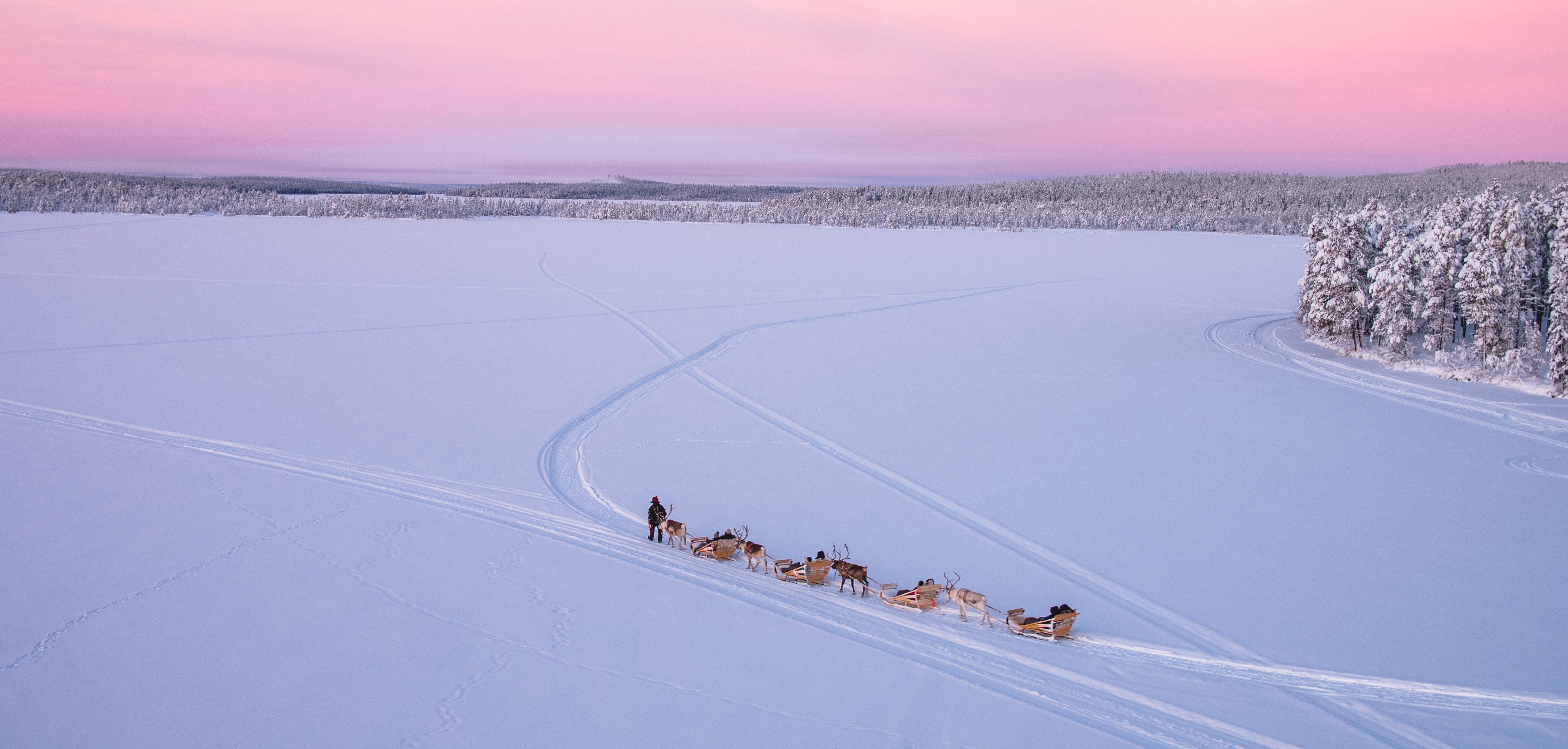 Reindeer safari at Torassieppi at sunset